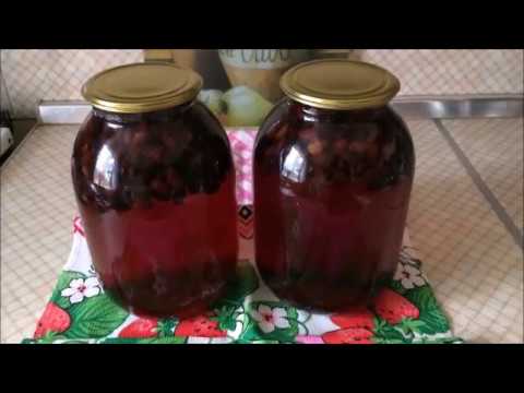 Видео: компот из жимолости.