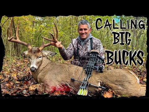 Видео: Призываю БОЛЬШИЕ ДЕНЬГИ!! 158" GA ГИГАНТ с МЕГАМЯСОМ!!!!