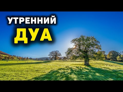 Видео: УТРЕННИЙ ДУА И ВЕЧЕРНЫЙ ДУА НА КАЖДЫЙ ДЕНЬ! أذكار الصباح والمساء ЗАЩИТИТЬ ВАС КРУГЛОСУТОЧНО!