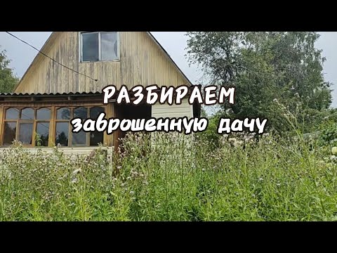Видео: Купили заброшенную дачу у речки. Разбираемся в доме.