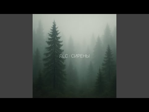 Видео: Лес / Сирены