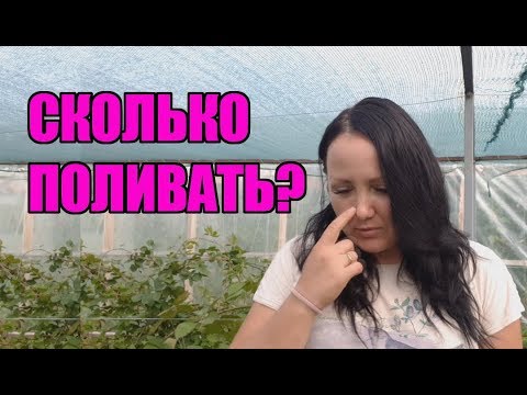 Видео: Сколько поливать малину и ежевику