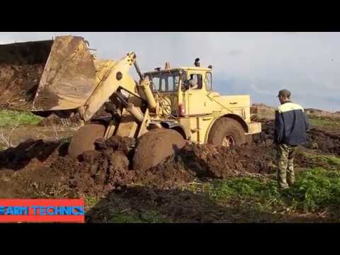 Видео: Как маленький жёлтый большому жёлтому помог!