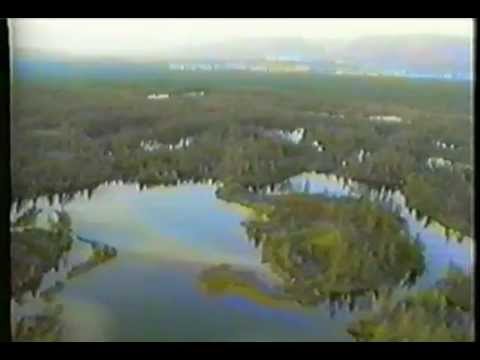 Видео: Норильск - судьба наша ... (1994)