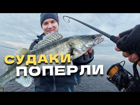 Видео: ТУТ ТОННИ РИБИ В ЦИХ КОРЧАХ! КЛЮЄ НА КОЖНОМУ ЗАКИДІ!