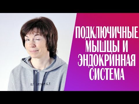 Видео: #234 Подключичные мышцы и эндокринная система.