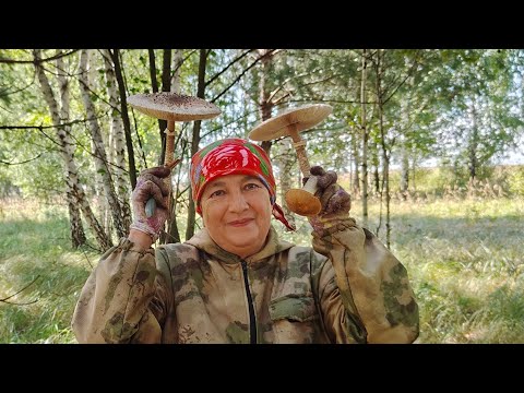 Видео: В лес с Ларисой//мы боимся 🥴🤦//жизнь в деревне 🏡//