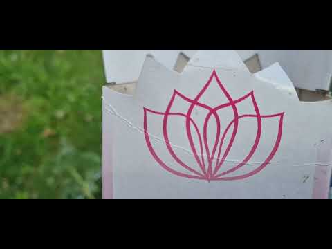 Видео: НЕ ❌ПОКУПАЙТЕ РОЗЫ ЭТОГО ПИТОМНИКА❗ОСТОРОЖНО❗БАКТЕРИАЛЬНЫЙ РАК ❗