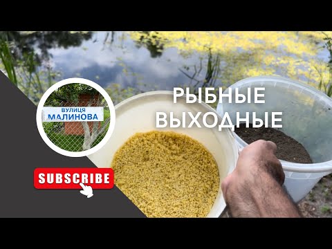 Видео: Ищем рыбные места/рыбалка в городе на донку