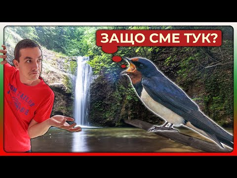 Видео: Водопадът на Лястовиците | Лястовичи вир - Родопите