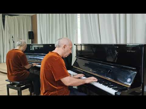 Видео: Музыкальная фантазия от Виктора Платкова номер 75