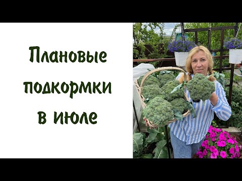 Видео: Плановые подкормки. Боремся с вредителями и болезнями