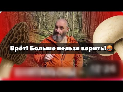 Видео: Михаил Вишневский ВРЁТ! Сморчки ядовиты?! УВОЛЕН с должности директора грибов.
