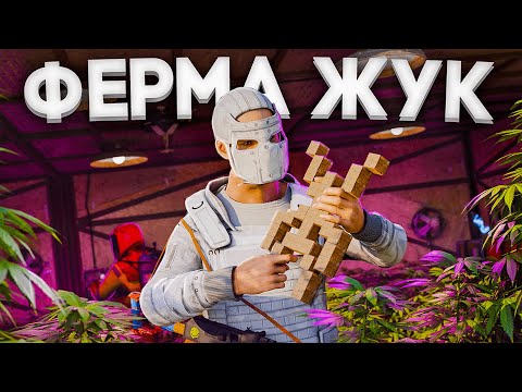 Видео: ФЕРМА-ЖУК! Самое Эпичное выживание за 6000 часов в Раст/Rust