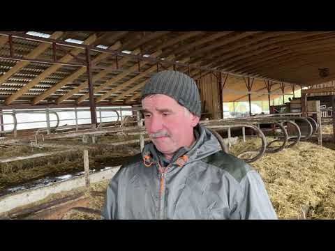 Видео: Бактерии в боксах - первые результаты