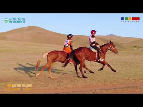 Видео: Цагаанхайрхан сумын 100 жилийн ойн ДААГАНЫ УРАЛДААН бүтэн / Увс аймаг Хурдан морины өв соёл / 2024