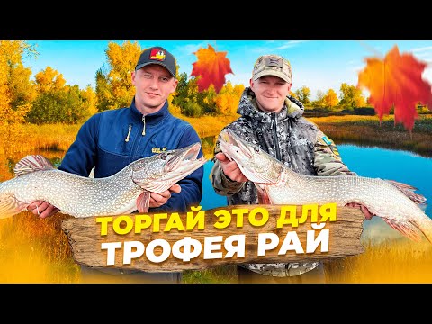 Видео: ЩУКА КЛЮЁТ НА ЩУКУ! Трофеями закрыли сезон в Торгае!