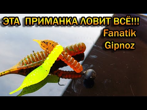 Видео: Лучшие силиконовые приманки | Fanatik Gipnoz