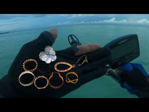 Видео: МЕТАЛЛОПОИСК С ИСПОЛЬЗОВАНИЕМ GARRETT VORTEX VX9