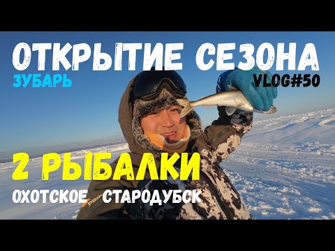 Видео: УДАЧНО ОТКРЫЛИ СЕЗОН ЗУБАРЯ | Два дня рыбалки в разных местах !