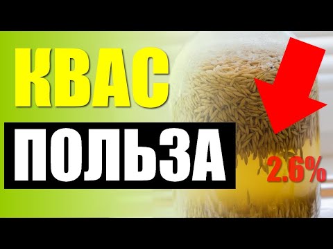 Видео: ПОЛЬЗА И ВРЕД КВАСА.Вся правда о квасе