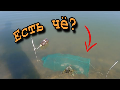 Видео: ЛОВЛЯ рыбы КАТИСКОЙ 🐟 РАК на ПОДЛЕЩИКА 🦞