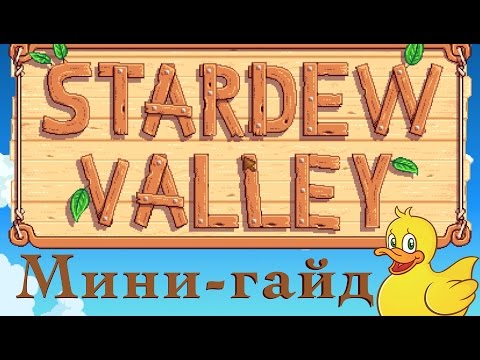 Видео: Stardew Valley: мини-гайд