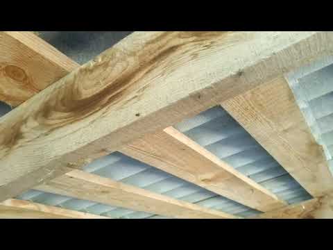 Видео: Наш козовник ,плюсы и минусы ...