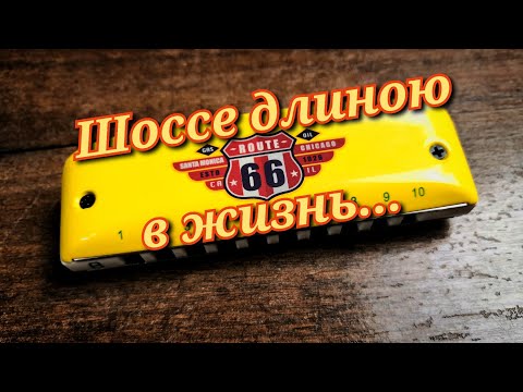 Видео: Обзор гармошки "Route 66"