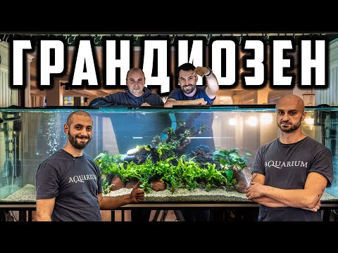 Видео: МАЩАБЕН АКВАРИУМ В ПЛОВДИВ