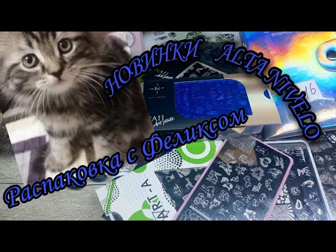 Видео: Распаковка с Wildberries и AliExpress