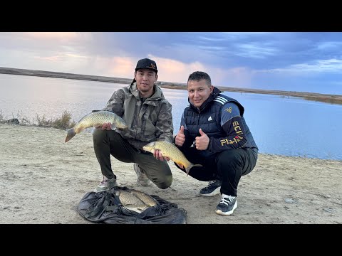 Видео: 27 сентября 2025 г. Сезон жақсы жабылды🦧