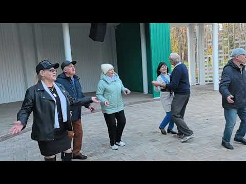 Видео: А над речкой туман... 24.10.25...