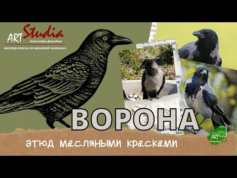 Видео: Пишем этюд с серой вороной/ The crow. Etude.