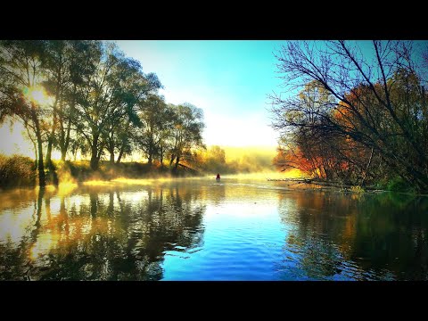 Видео: Туманный SUP. 2х-дневный сплав на сапбордах по реке Ворона Большие Алабухи - Борисоглебск.