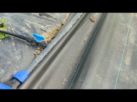 Видео: Просто и понятно , укрывные материалы. Черная пленка ,ткань.