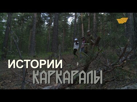 Видео: «Бюро расследований». Истории Каркаралы