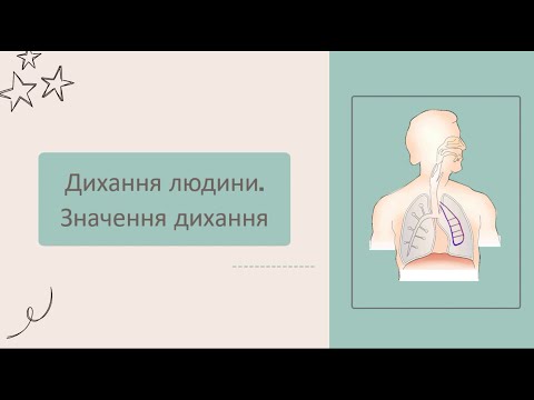 Видео: Дихання людини. Значення дихання
