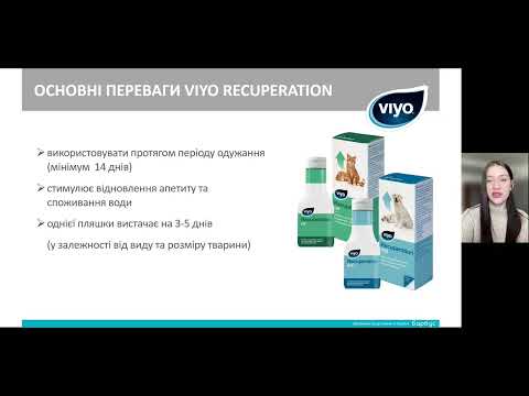 Видео: Лекція 2  Viyo Recuperation підтримка організму котів і собак.