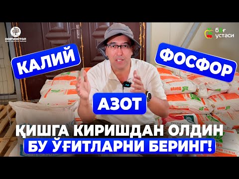 Видео: КУЗ-ҚИШДА БЕРСА БЎЛАДИГАН ВА БЎЛМАЙДИГАН ЎҒИТЛАР! | ШУҲРАТ АБРОРОВ #shuhratabrorov #ogitlar #azot
