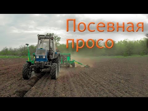 Видео: Сеем просо! ЮМЗ-8280  NIKA 4