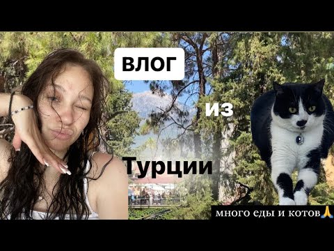 Видео: влог из турции★彡