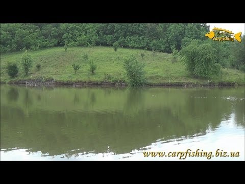 Видео: Рыбалка в Сковородиновке пруд "Саенково"