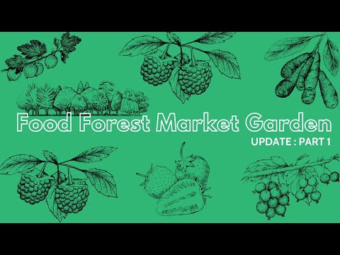 Видео: ЛЕТНИЙ ТУР ПО ЛЕСОВОДЧЕСКОМУ ОГОРОДУ | ВЫРАЩИВАНИЕ ОВОЩЕЙ ПО ДОРОГАМ | ЯГОДНАЯ ФЕРМА ПЕРМАКУЛЬТУРЫ