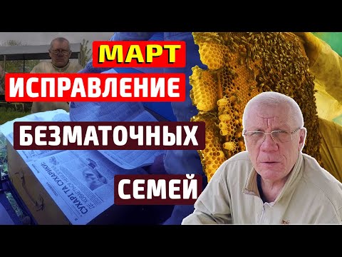 Видео: Первые весенние работы на пасеке Пропала матка Исправление безматочных семей