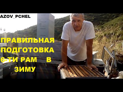 Видео: Правильная подготовка 6ти в зиму (Preparation of 6 frames in winter) #Пчеловодствов6тирамочныхульях#