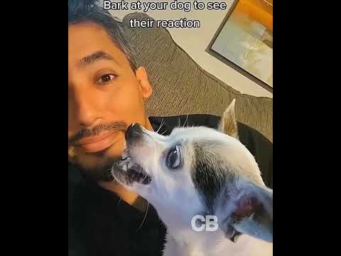 Видео: Смешные видео |лучшее из сети| подборки июль 2024 #10 #серго #смех #юмор