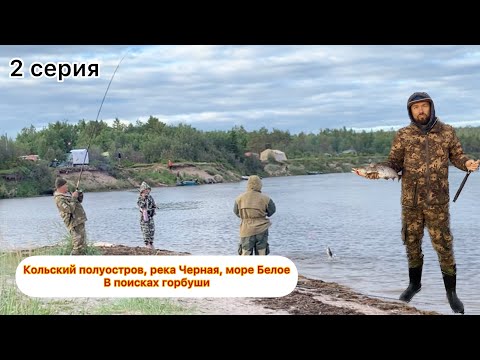 Видео: Кольский полуостров, море Белое, река Черная. В поисках горбуши. 2 серия