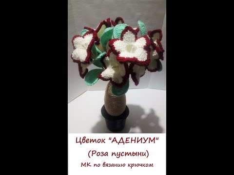 Видео: Цветок "АДЕНИУМ" (Роза пустыни) МК по вязанию крючком