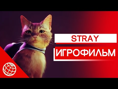 Видео: Stray ИГРОФИЛЬМ на русском ➤ Stray все катсцены на русском ➤ Stray все воспоминания ➤ PS5 ➤ 60 FPS